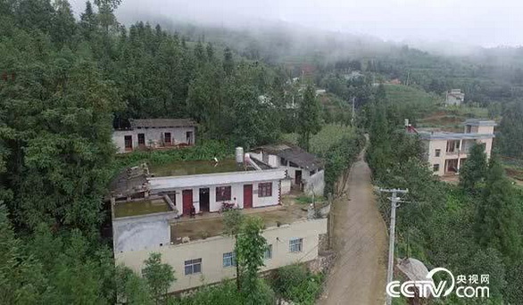 20190808_03.jpg