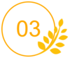 素材-标题序号C_03.png